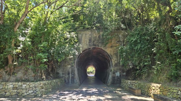 20250628白龍縱走(白沙屯山-半天寮山-公司寮山)2827839