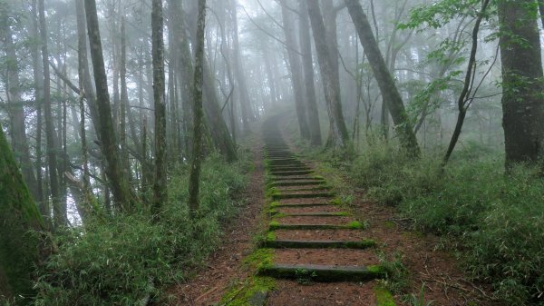 阿里山森遊區-祝山,對高岳步道2537066