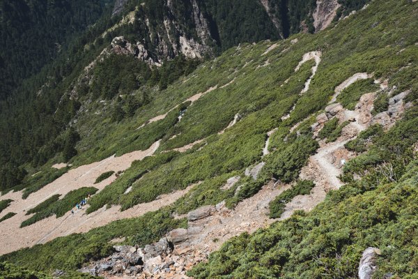 玉山北峰-雲海季開跑囉691774