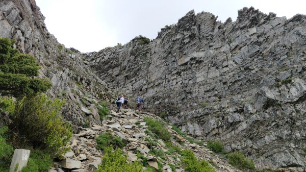 雪山主東北甘木林山下翠池2025年6月22日2823862