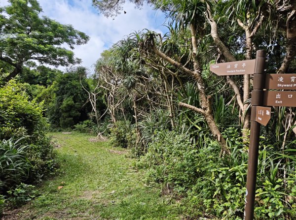 [百山百鳥尋旅-02/15] 2025_0809 社頂自然公園步道2856965