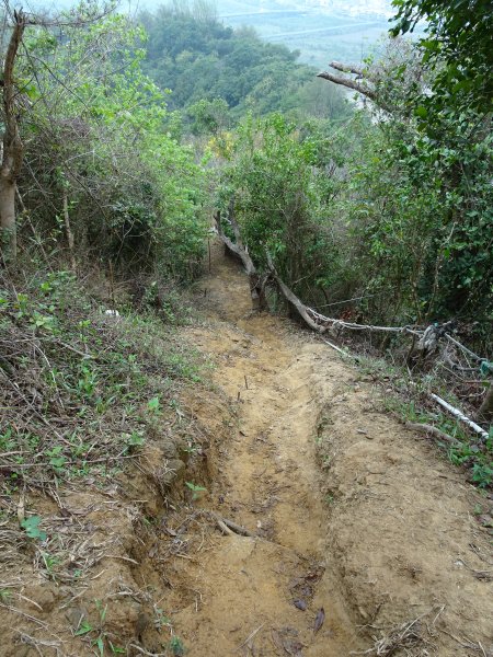 台灣小百岳第72座高雄旗山旗尾山之三角點551172