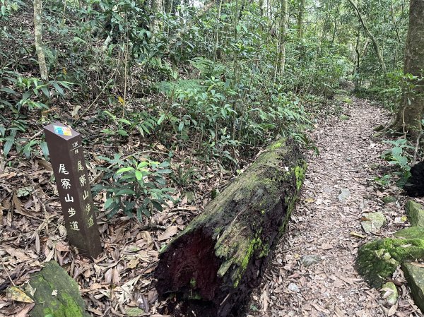 [屏步青雲 尋寶任務-02/10] 2024_0916 尾寮山登山步道2597403