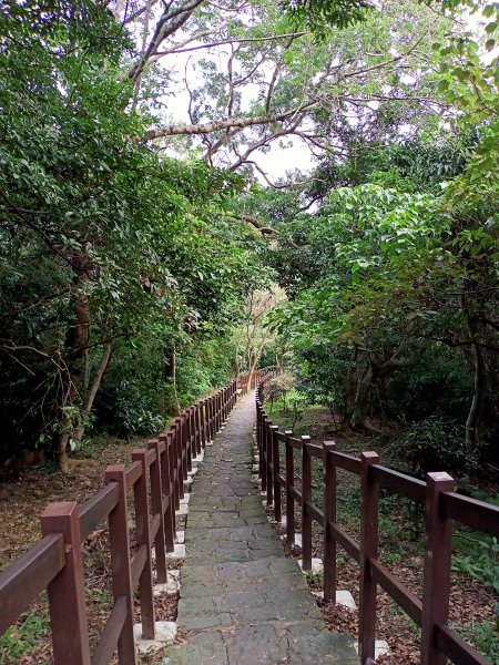 【南山神壽任務尋寶趣】碧湖公園步道憶故人1579612