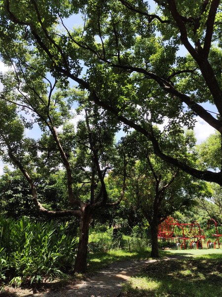 大安森林公園、港墘公園、文德三號公園【走路趣尋寶】【臺北健走趣】2549683