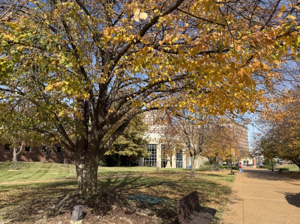 [紐約馬之行-52] 2025_1112 聖路易斯大學2953295