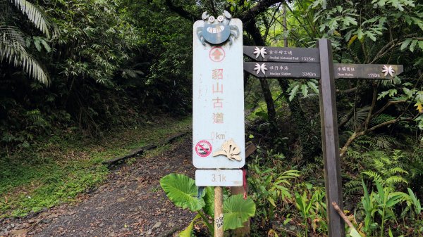 貂山古道,琉榔路觀光步道2590541