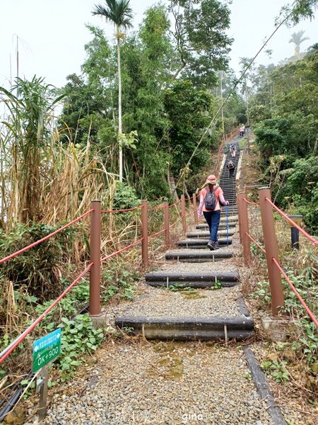 【嘉義竹崎】說好的稜線風景呢。阿拔泉山稜線步道連走獨立山O繞2684135