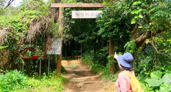 《蝶戀花。五色春深》2731664