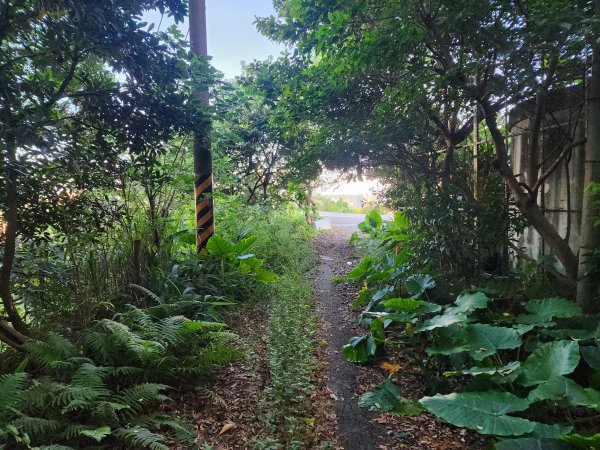 20250913秀才步道福人步道保甲古道2929844
