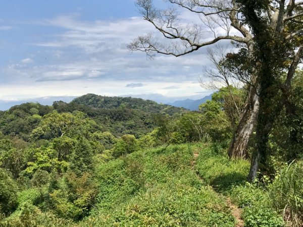 麒麟步道縱走田薯連峰1666442