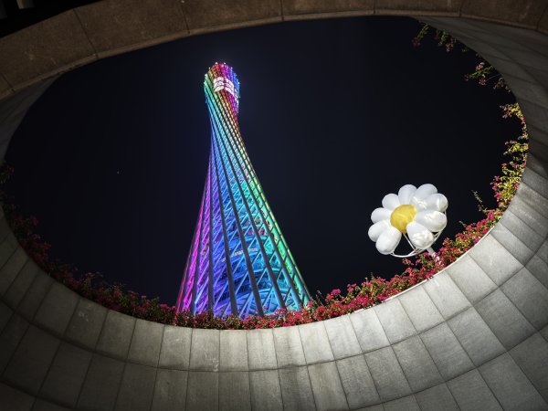 [茂名馬之行-05] 2026_0116 廣州塔夜景2994106
