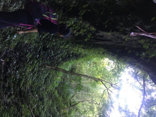 六寮崙山、雞罩山、白雞山8字走2371103