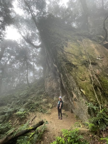 20230409鵝公髻山-第一登山口來回2103570