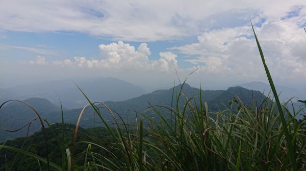 20180901新店獅仔頭隘勇線登山步道416116