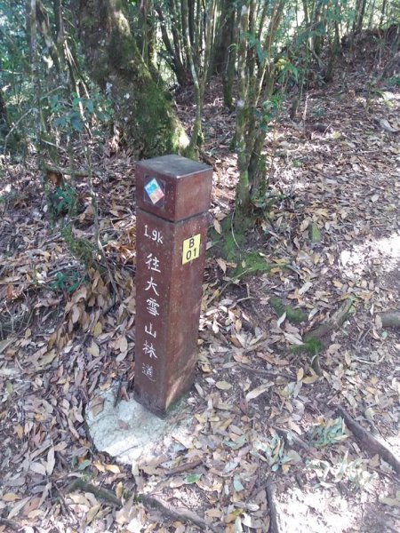 108.12.14台中稍來山（紅榨槭，夕776898