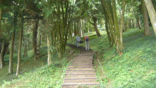 山林美境尋寶石、小百岳-東眼山森林遊樂區1111892