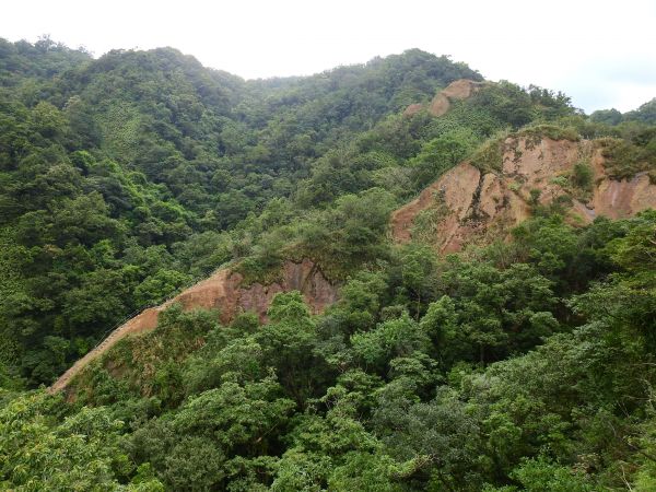 孝子山步道連走東勢格越嶺古道196954