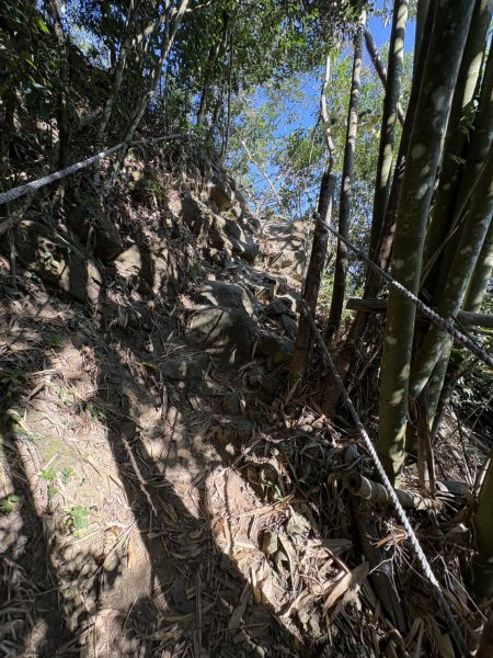 20251123台南－獵鷹尖一線天步道2944550