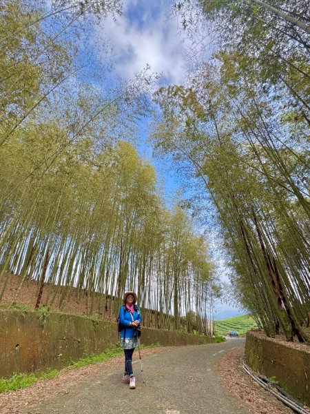 鳳凰谷步道走凍頂麒麟山2770433