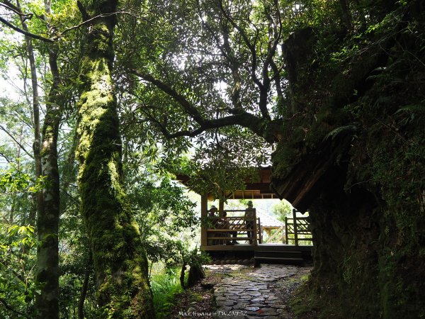 《宜蘭》北橫明珠｜明池國家森林遊樂區201805192889309