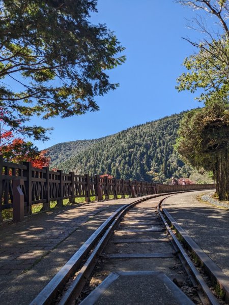 太平山國家森林遊樂區-蹦蹦車3137093