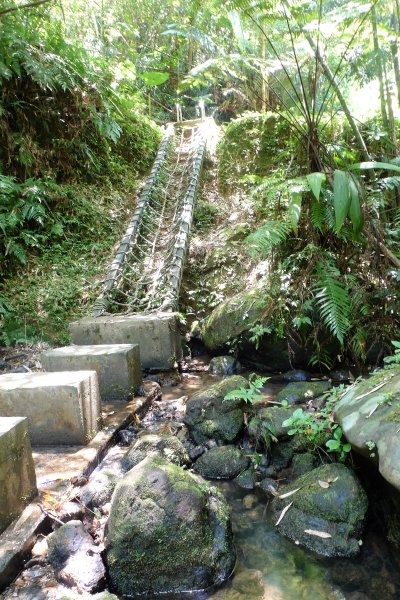 夏天就是要去涼爽的步道健行>>望古瀑布、嶺腳寮山(瀑布)步道1760617
