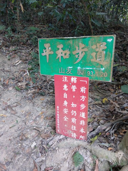 台中北屯大坑7號步道旁的平和步道（山友開闢小支線）