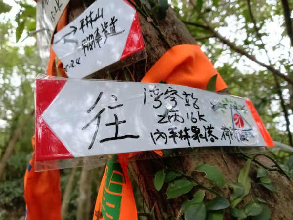 雙溪區石壁坑橋+平林山+武山煤礦土地公+上林山稜線+彎穹越嶺古道+石壁坑橋O型2991293