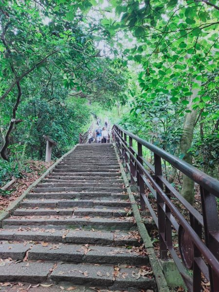 象山步道及永春崗步道1355309