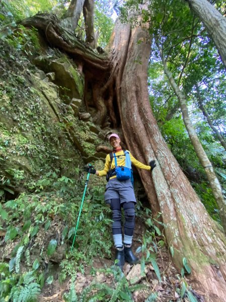 雙鳥縱走+那結山1312829