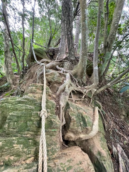 雙石緃走(石牛山至石門山)1584489