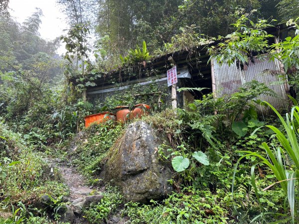 陡上陡下的溪頭鳳凰山1872911