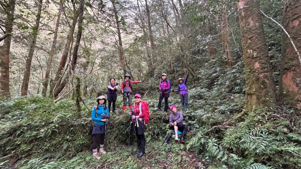 芃芃山西北稜大內台2693944