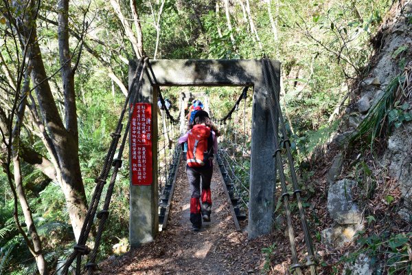 德芙蘭步道- 東南稜-東卯山O型縱走1269301