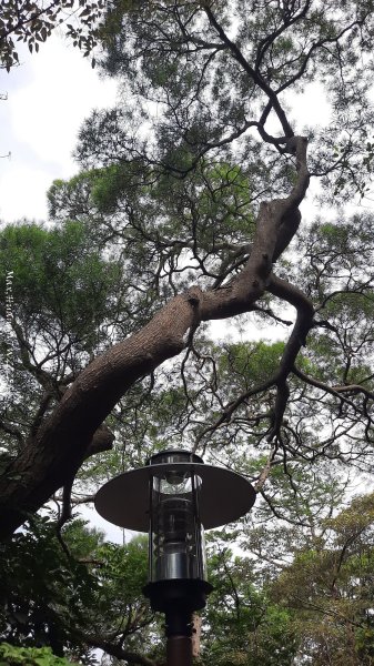 《新竹》城市微旅｜十八尖山+香山濕地賞蟹步道202511012928404