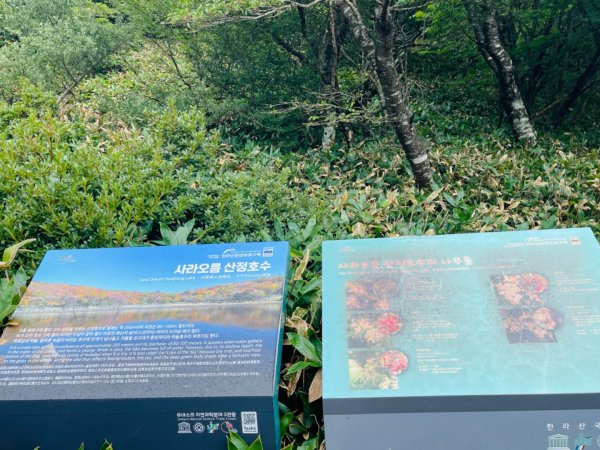 1140811 KR 漢拏山杜鵑花田避難所-紗羅岳觀景臺2860204