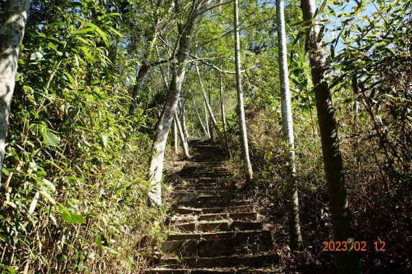 嘉義 竹崎 大坑山2032215