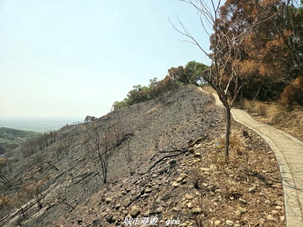 【台中大肚】大肚萬里長城登山步道3023845