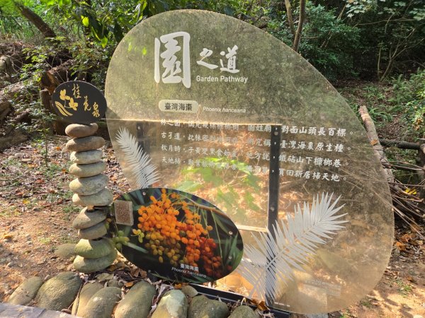 鐵砧山O繞3135982