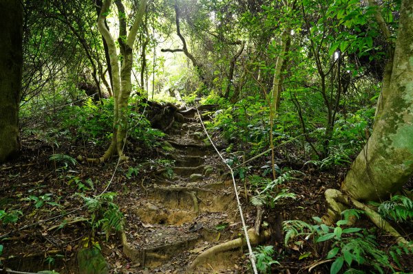 桃園 大溪 草嶺山、白石山、十三分山3040373