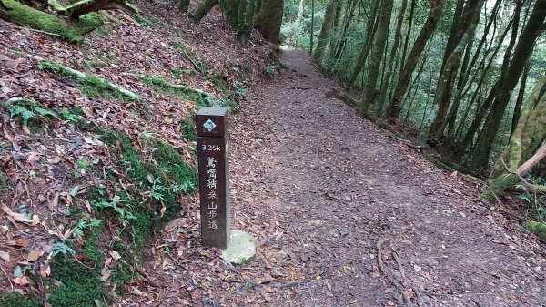 鳶嘴山大景 稍來山 大雪山O型1111768