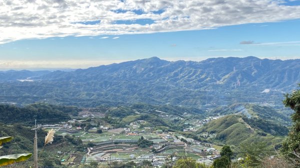 馬那邦山賞楓歡樂野餐/採草莓苗栗一日遊1217043