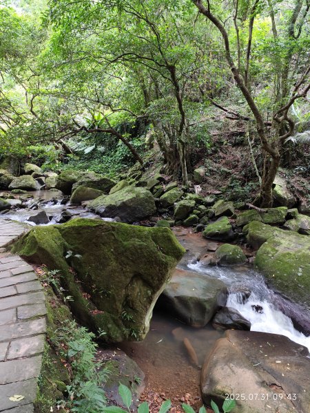 大湖公園→大溝溪生態治水園區→圓覺寺步道→圓覺瀑布→圓覺寺→鯉魚山步道【臺北大縱走 4、臺北健走趣】2849094