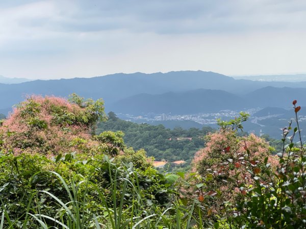 1140601石門山2803244