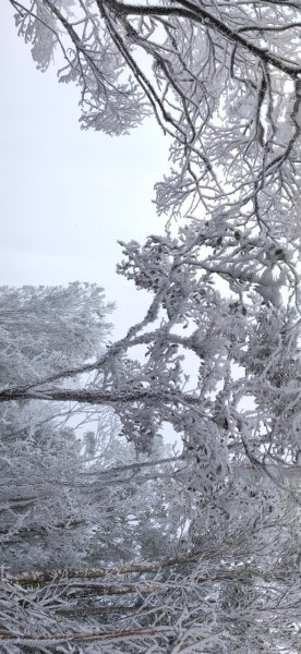 雪季北得拉曼2956409