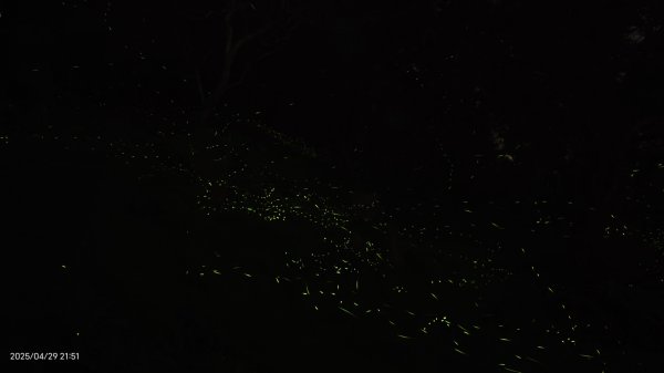 翡翠水庫壩頂 #火燒雲雲海 #日出雲海 #鱷魚島 #藍腹鷴 4/292773447