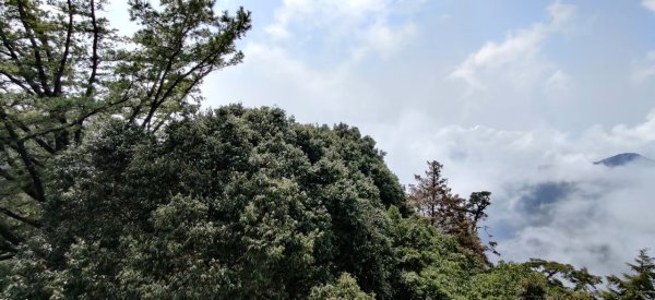 中級山-鳶嘴稍來2889060