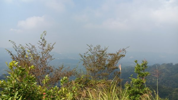 頭嵙山（小百岳 no.41）&石苓湖山O型親子團2326165