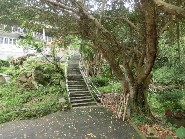 劍南山．鄭成功廟．劍南蝶園．劍潭古寺557824